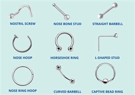 nose ring types